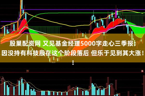 股巢配资网 又见基金经理5000字走心三季报：因没持有科技股在这个阶段落后 但乐于见到其大涨！
