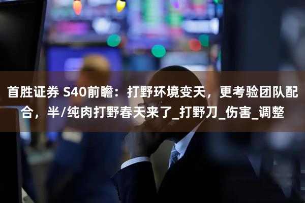 首胜证券 S40前瞻：打野环境变天，更考验团队配合，半/纯肉打野春天来了_打野刀_伤害_调整